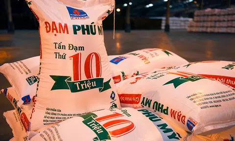 Đạm Phú Mỹ (DPM) sắp khuấy đảo thị trường: Tung ra hơn 288 triệu cổ phiếu, ước đạt hơn 2.800 tỷ đồng