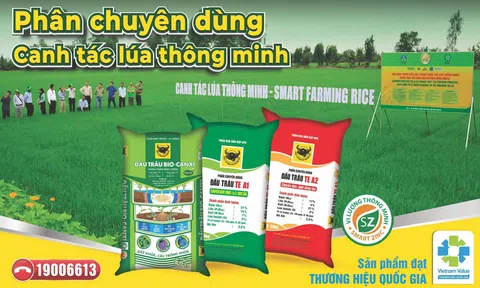 Đầu Trâu Bio-Canxi: Bước đột phá của Bình Điền trong hành trình tích hợp vi sinh vật sống vào phân bón