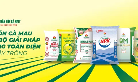 PVCFC (DCM) bứt phá với chiến lược M&A KVF, sản lượng NPK vượt kế hoạch