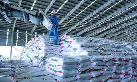 “Tips kinh nghiệm” đưa thương hiệu phân bón Việt vươn ra thế giới