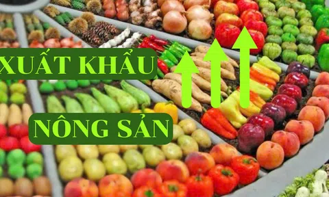 Xuất khẩu nông sản tăng trưởng mạnh mẽ