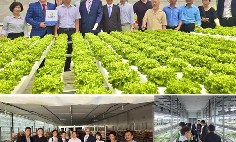 WVCEA: Tích cực hỗ trợ Việt Nam phát triển kinh tế xanh