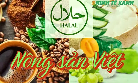 Thị trường Halal 2,2 tỷ dân: Cơ hội bứt phá cho nông sản Việt