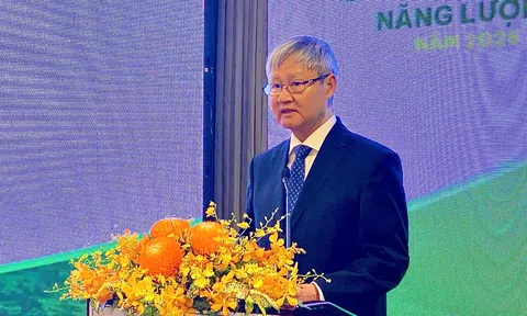 Đổi mới sáng tạo năng lượng 2025: Hiện thực hoá mục tiêu Net-Zero