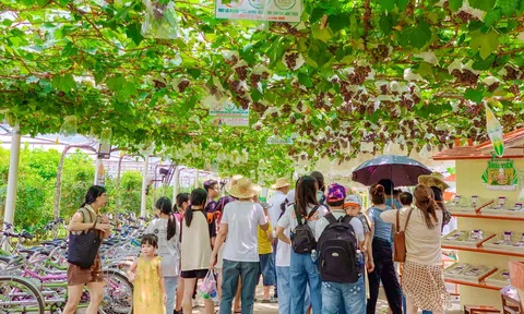 TP.HCM đẩy mạnh phát triển sản phẩm du lịch nông nghiệp, sinh thái