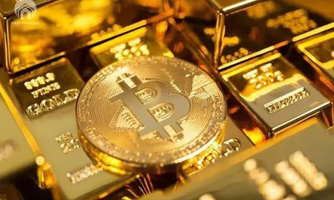 "Trình làng" công ty tài sản mã hoá có vốn điều lệ 10.000 tỷ đồng