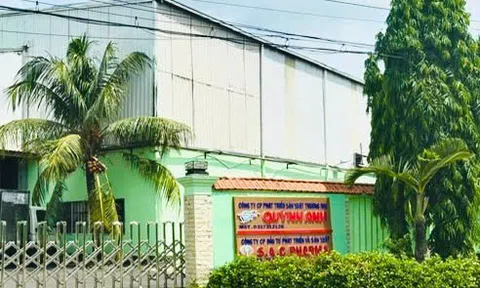 Một công ty bị phạt 35 triệu đồng, buộc tiêu huỷ hơn 11.800 lon sữa bột