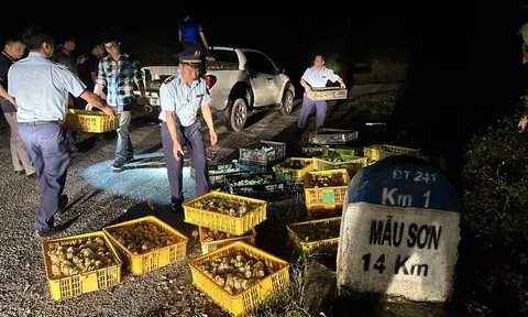 Quyết liệt đấu tranh chống buôn lậu, gian lận thương mại dịp cuối năm