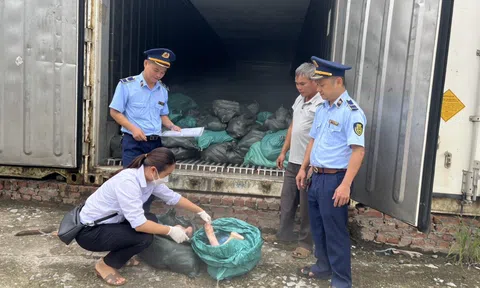 Lạng Sơn: Phát hiện 1,5 tấn móng giò lợn bốc mùi, không rõ nguồn gốc lưu thông trên thị trường