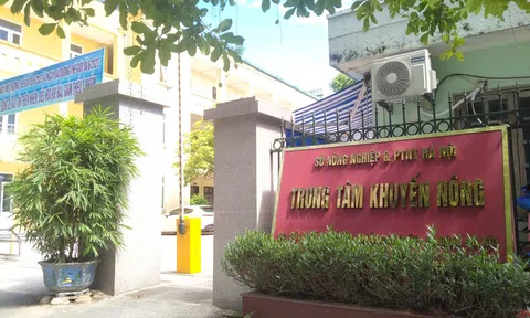 Nhiều gói thầu tại Trung tâm Khuyến nông Hà Nội chỉ có... một nhà thầu