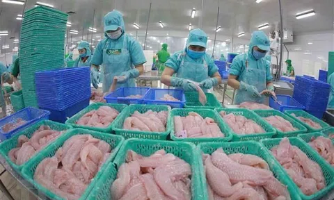 Các nước thành viên RCEP chiếm trên 63% thị phần xuất khẩu thủy sản của Việt Nam