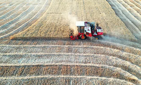 Công nghệ thông minh giúp nông dân Trung Quốc quản lý đồng ruộng