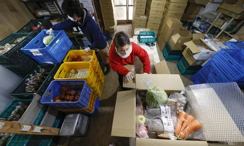 Nhật Bản: Các hộ gia đình thu nhập thấp chịu ảnh hưởng nặng nề bởi lạm phát