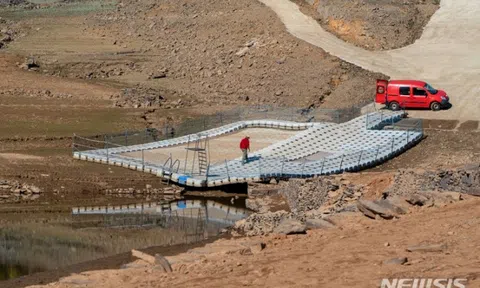 Bồ Đào Nha: 32 vụ cháy rừng mỗi ngày do sóng nhiệt và thời tiết khô hạn