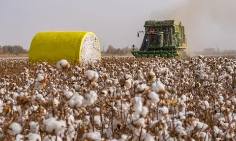 Tân Cương (Trung Quốc) cảnh báo những đợt nắng nóng gay gắt