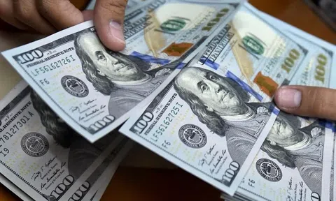 Tỷ giá USD hôm nay 21/8/2025: Cập nhật giá USD trong nước, thế giới