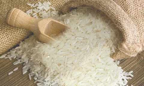 Giá lúa gạo hôm nay 22/8/2025: Thị trường ổn định, xuất khẩu giữ vững