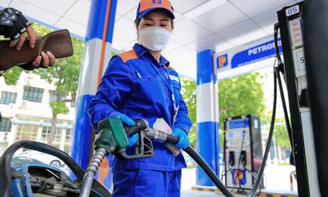 Giá xăng dầu hôm nay 23/8: Thị trường thế giới và trong nước tiếp tục biến động