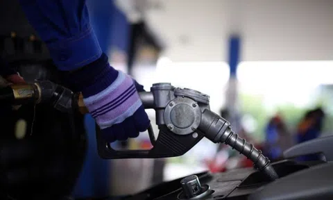 Giá xăng dầu hôm nay 26/8: Cập nhật giá xăng dầu trong nước, quốc tế