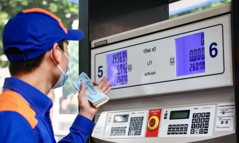 Giá xăng dầu hôm nay 29/8: Biến động trái chiều trên thị trường thế giới và trong nước