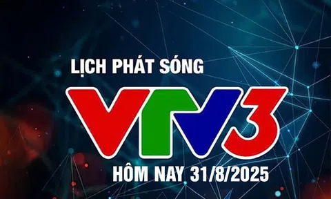 Lịch phát sóng VTV3 hôm nay ngày 31/8/2025