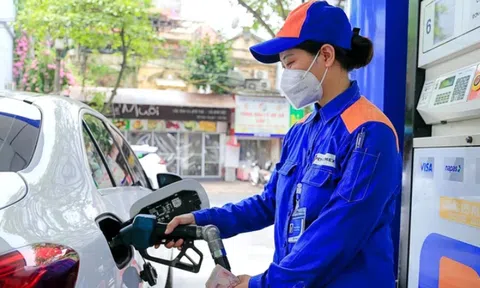 Giá xăng dầu hôm nay 6/9: Giá xăng dầu thế giới giảm mạnh