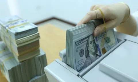 Tỷ giá USD hôm nay 11/9/2025: Thế giới biến động trái chiều, trong nước ổn định