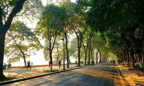 Dự báo thời tiết hôm nay 12/9: Bắc Bộ ngày nắng, Trung Bộ và Nam Bộ có mưa rào