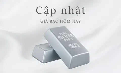 Giá bạc hôm nay 12/9/2025: Biến động trái chiều trong nước và thế giới