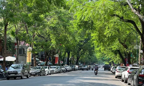 Dự báo thời tiết hôm nay 16/9: Bắc Bộ mưa buổi sáng, ngày nắng