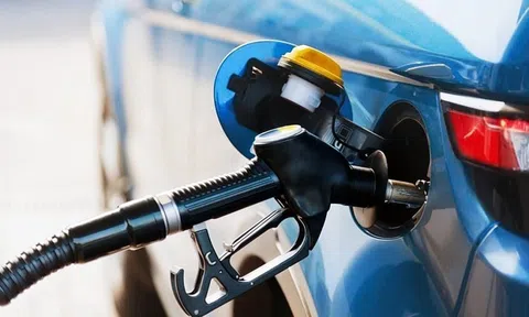 Giá xăng dầu hôm nay 22/9/2025: Thế giới phục hồi nhẹ, trong nước ổn định