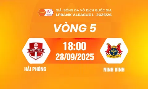 Trực tiếp bóng đá Hải Phòng vs Ninh Bình 18h00 hôm nay 28/9/2025