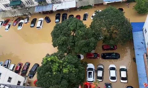 Dự báo thời tiết 10/10: Miền Bắc có nắng, nhiều tỉnh vẫn còn ngập