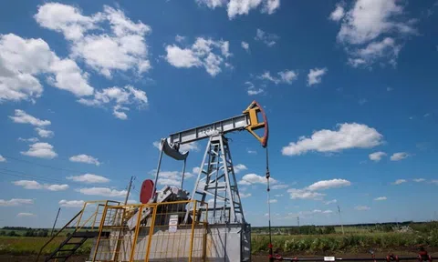 Giá xăng dầu hôm nay 12/10: Thế giới lao dốc, trong nước đồng loạt giảm mạnh