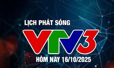 Lịch phát sóng VTV3 hôm nay ngày 16/10/2025
