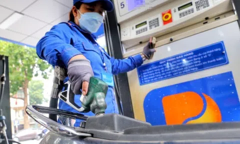 Giá xăng dầu hôm nay 22/10: Giá dầu thế giới phục hồi nhẹ, trong nước giữ ổn định