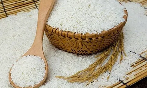 Giá lúa gạo hôm nay 30/10/2025: Giá lúa gạo trong nước ổn định, xuất khẩu biến động trái chiều