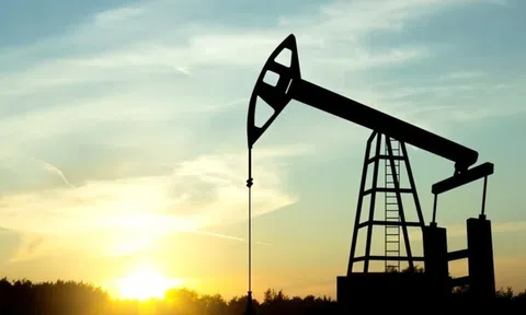 Giá xăng dầu hôm nay 10/11: Cập nhật chi tiết giá thế giới và trong nước