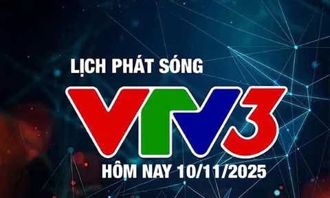 Lịch phát sóng VTV3 hôm nay ngày 10/11/2025