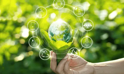 Kinh tế xanh là gì? Giải pháp phát triển kinh tế bền vững