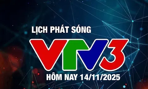 Lịch phát sóng VTV3 hôm nay ngày 14/11/2025