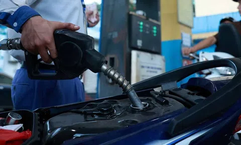 Giá xăng dầu hôm nay 21/11: Cập nhật giá xăng dầu thế giới và trong nước