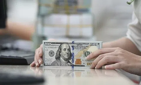 Tỷ giá USD hôm nay 21/11/2025: Cập nhật chi tiết thị trường trong nước và quốc tế