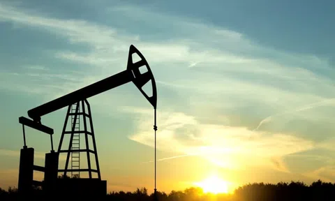 Giá xăng dầu hôm nay 25/11: Cập nhật giá xăng dầu thế giới và trong nước