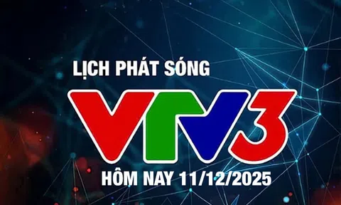 Lịch phát sóng VTV3 hôm nay ngày 11/12/2025