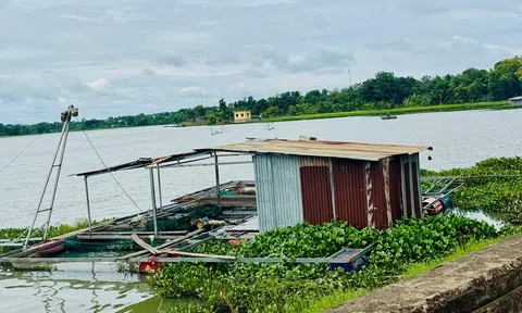 Nguy cơ ô nhiễm rõ nét nguồn nước sinh hoạt lấy ở hồ Ea Súp Hạ (Đắk Lắk)