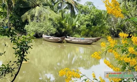 Về miền Tây mùa nước nổi – Khi phù sa gọi mùa, khi con người gửi hồn vào sông nước