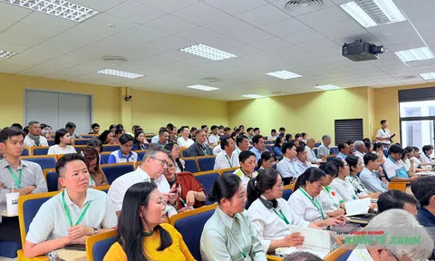 Chuyên gia quốc tế đề xuất mô hình “Hồi sinh đất” cho nông nghiệp hữu cơ ĐBSCL