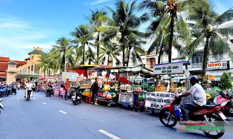 Cần Thơ tổ chức lại phố đi bộ Ninh Kiều, tăng sức hút du lịch cuối năm 2025