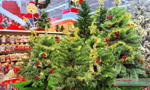 Thị trường Cần Thơ sôi động dịp Giáng sinh